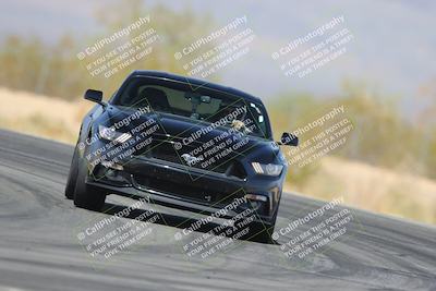 media/Mar-30-2025-Pro Autosports (Sun) [[34ff8f16e0]]/5-Green Group/Session 2 (Turn 7)/